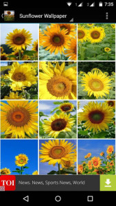 اسکرین شات برنامه Sunflower Wallpaper HD 5