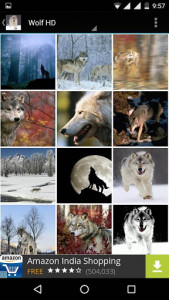 اسکرین شات برنامه Wolf Wallpapers HD 3
