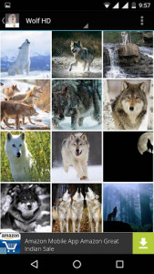 اسکرین شات برنامه Wolf Wallpapers HD 5