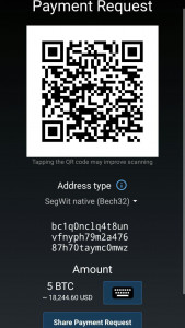 اسکرین شات 4 برنامه Mycelium Bitcoin Wallet