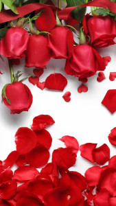اسکرین شات 2 برنامه Rose wallpaper: Rosely