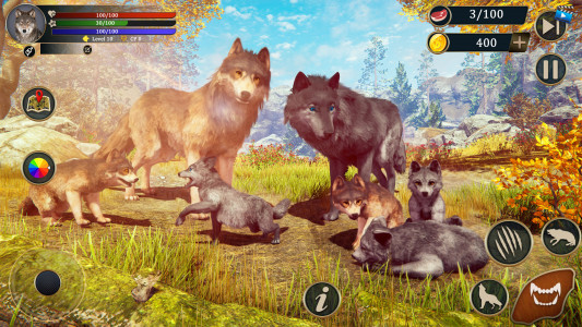 اسکرین شات 4 بازی The Wild Wolf Life Simulator