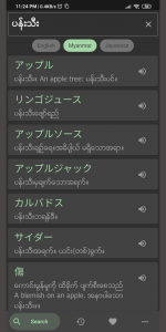 اسکرین شات برنامه Myanmar Japanese Dictionary 1