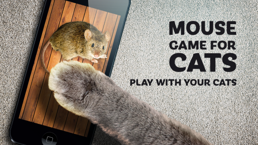 اسکرین شات بازی Mouse game toy for cats 1