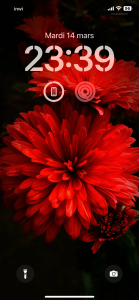 اسکرین شات 2 برنامه NatureWalls Nature Wallpapers