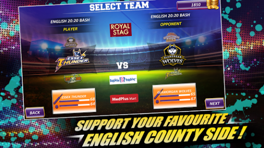 اسکرین شات بازی Real Cricket™ 16: English Bash 3