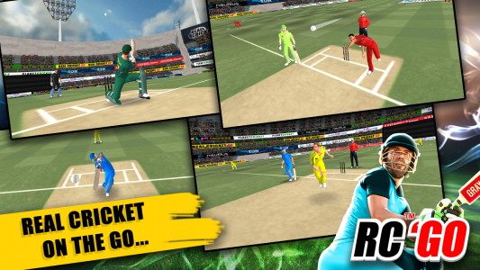 اسکرین شات بازی Real Cricket™ GO 3