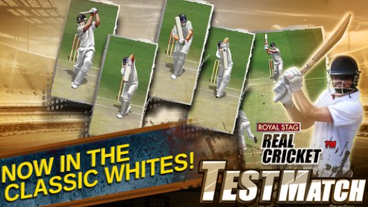 اسکرین شات بازی Real Cricket™ Test Match 3