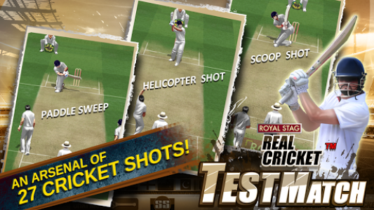 اسکرین شات بازی Real Cricket™ Test Match 4