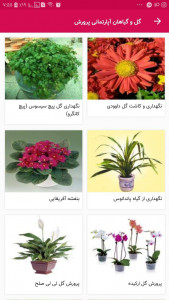 اسکرین شات برنامه گل و گیاهان اپارتمانی پرورش نگهداری 4