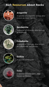 اسکرین شات 5 برنامه Rock Identifier by Photo