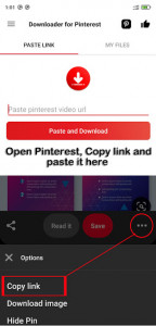 اسکرین شات برنامه Video Downloader for Pinterest - Save GIF & Images 5