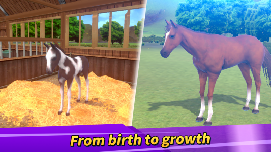 اسکرین شات 2 بازی Derby Life : Horse racing