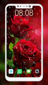 اسکرین شات برنامه Rose Wallpapers 7