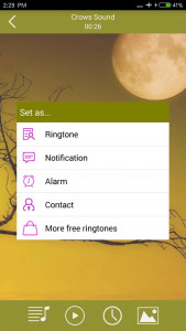اسکرین شات برنامه Birds Sounds & Ringtones 4