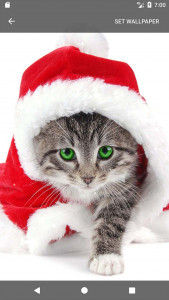 اسکرین شات 7 برنامه Christmas Ringtones Wallpapers