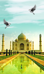 اسکرین شات برنامه Taj Mahal Wallpapers 1