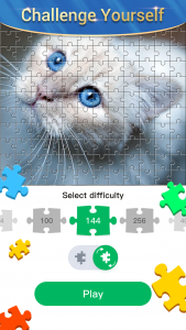 اسکرین شات بازی Jigsaw Puzzle Master 2