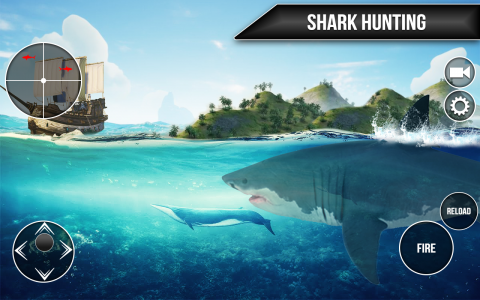 اسکرین شات بازی Wild Shark Fish Hunting game 4