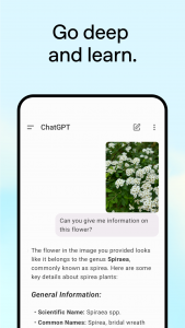 اسکرین شات برنامه ChatGPT 5