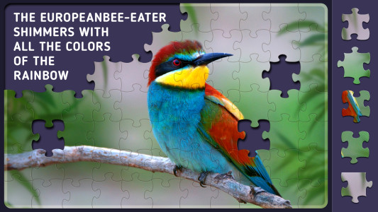 اسکرین شات 5 بازی Relax Jigsaw Puzzle for Adults
