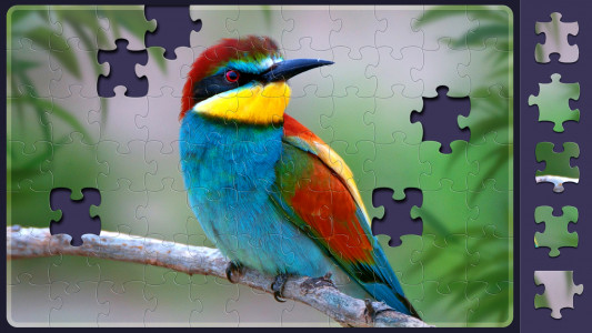 اسکرین شات بازی Relax Jigsaw Puzzles 5