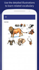 اسکرین شات برنامه Dizionario Oxford Study 3