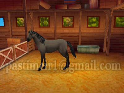 اسکرین شات بازی اسب سواری 1