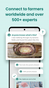 اسکرین شات 3 برنامه Plantix - your crop doctor
