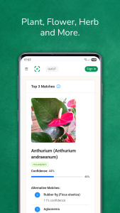 اسکرین شات 4 برنامه Plant identifier from photo