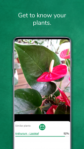 اسکرین شات 2 برنامه Plant identifier from photo