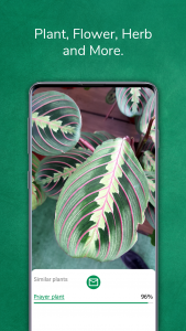 اسکرین شات 4 برنامه Plant identifier from photo