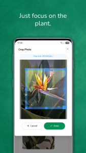 اسکرین شات 3 برنامه Plant identifier from photo