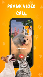 اسکرین شات 5 برنامه Cat & Dog Translator Prank App