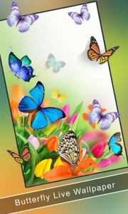 اسکرین شات 3 برنامه Butterfly Live Wallpaper 2023