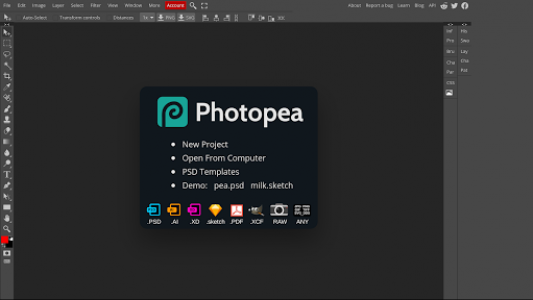 اسکرین شات برنامه Advanced Editor | Photopea 7