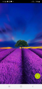 اسکرین شات 6 برنامه 10000 Flowers Wallpapers