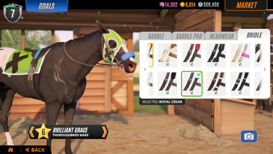 اسکرین شات بازی Rival Stars Horse Racing 6