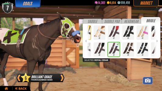 اسکرین شات 6 بازی Rival Stars Horse Racing