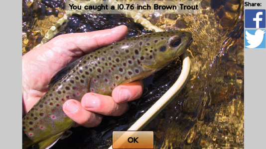 اسکرین شات 3 بازی Fly Fishing Simulator HD
