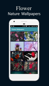 اسکرین شات 4 برنامه 8000 Nature Wallpapers 2024