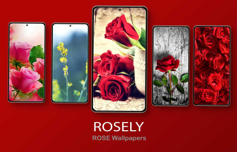 اسکرین شات 1 برنامه Rosely - Rose wallpapers HD