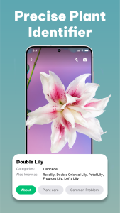 اسکرین شات 2 برنامه LeafCheck: Plant Identifier