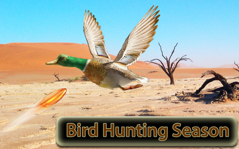 اسکرین شات 3 بازی Desert Birds Sniper Shooter 3D