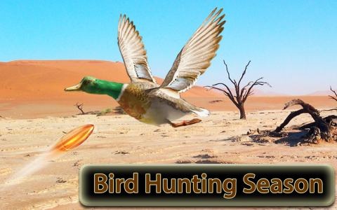 اسکرین شات بازی Desert Birds Sniper Shooter 3D 1
