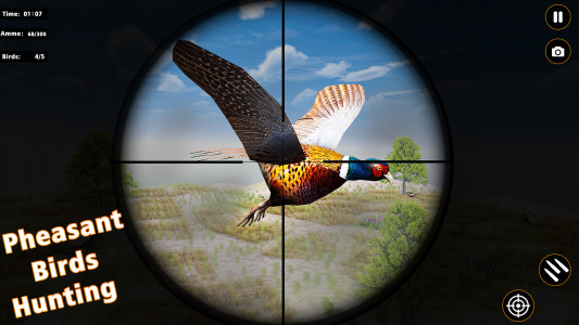 اسکرین شات بازی Pheasant Birds Hunting Games 4