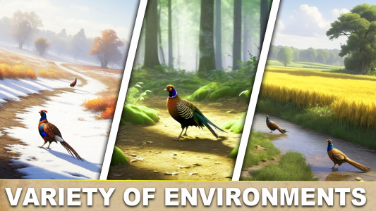 اسکرین شات 5 بازی Pheasant Birds Hunting Games