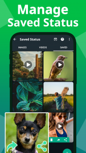 اسکرین شات برنامه Status Saver Video Downloader 5