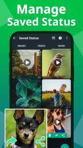 اسکرین شات 8 برنامه Status Saver Video Downloader