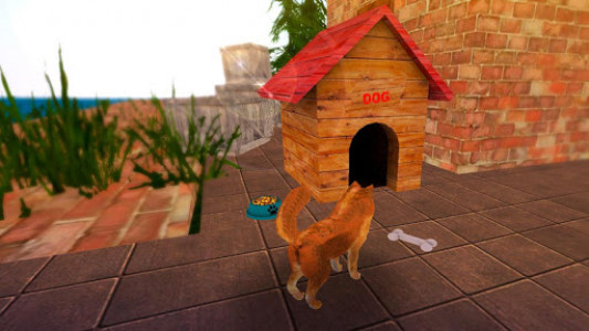 اسکرین شات بازی Pure Breed Miniature Dog Life Sim 5
